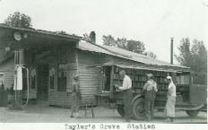 Taylor's Grove